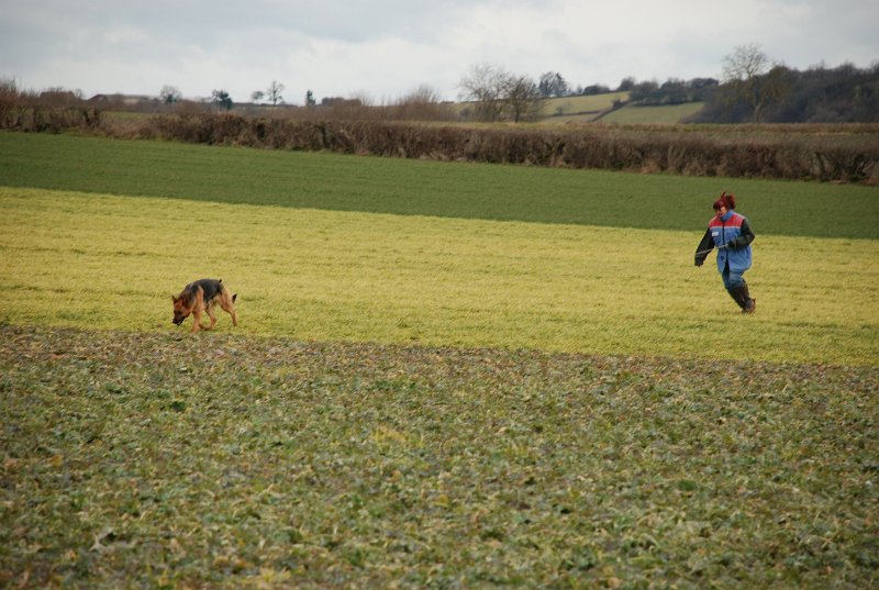 DSC_0256.JPG