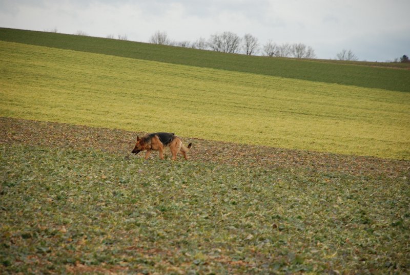 DSC_0258.JPG