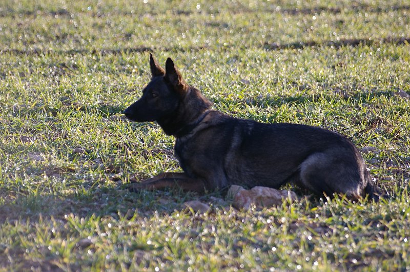 SG1L7490.JPG