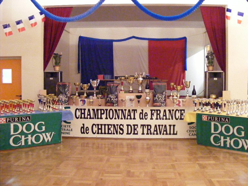 DSCF1434.JPG