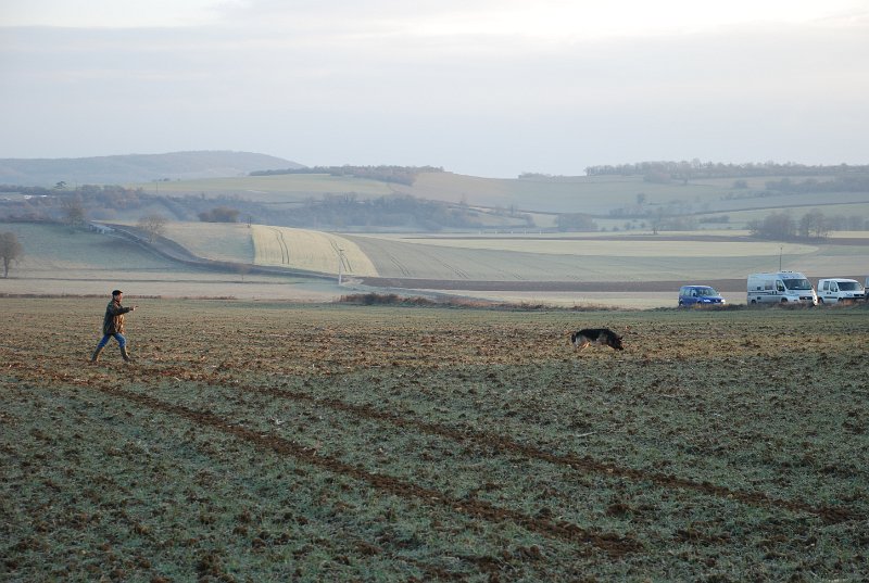 DSC_0003.JPG
