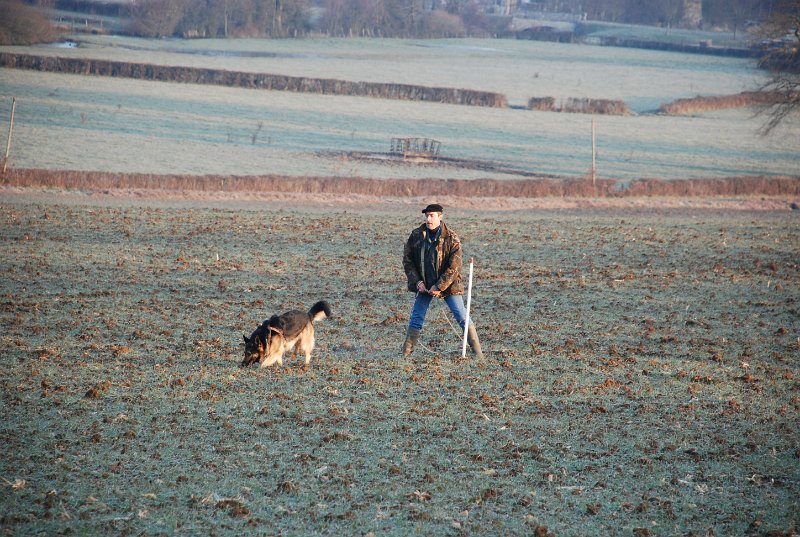 DSC_0005.JPG