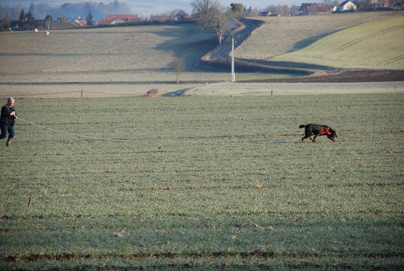 DSC_0010.JPG