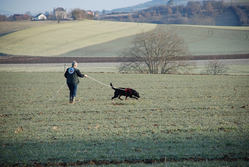 DSC_0011.JPG