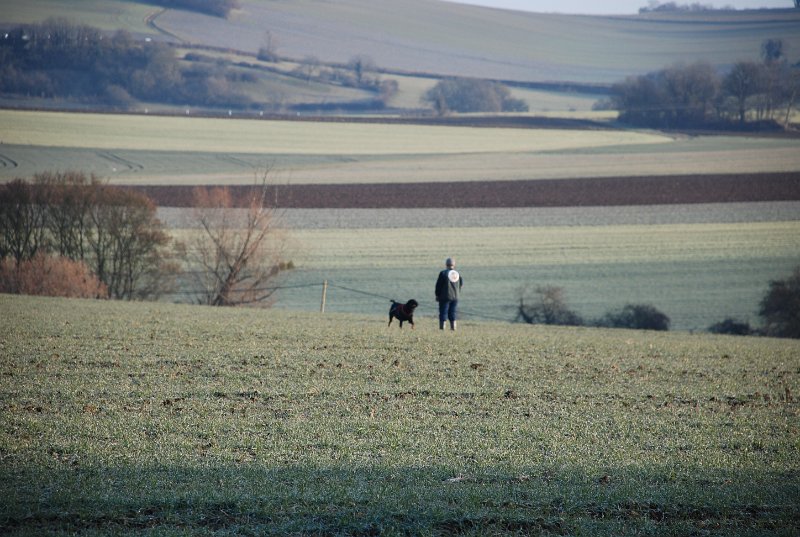 DSC_0012.JPG