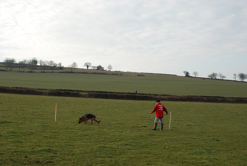 DSC_0019.JPG
