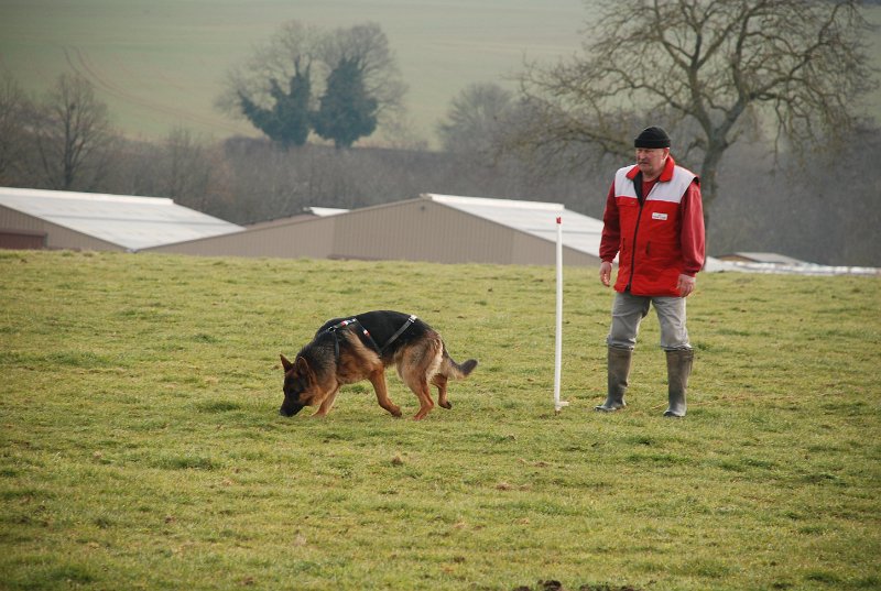 DSC_0026.JPG