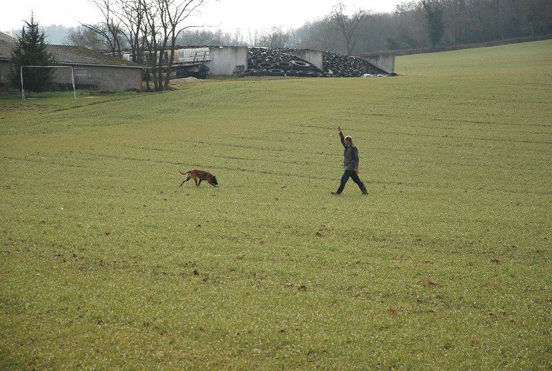 DSC_0032.JPG