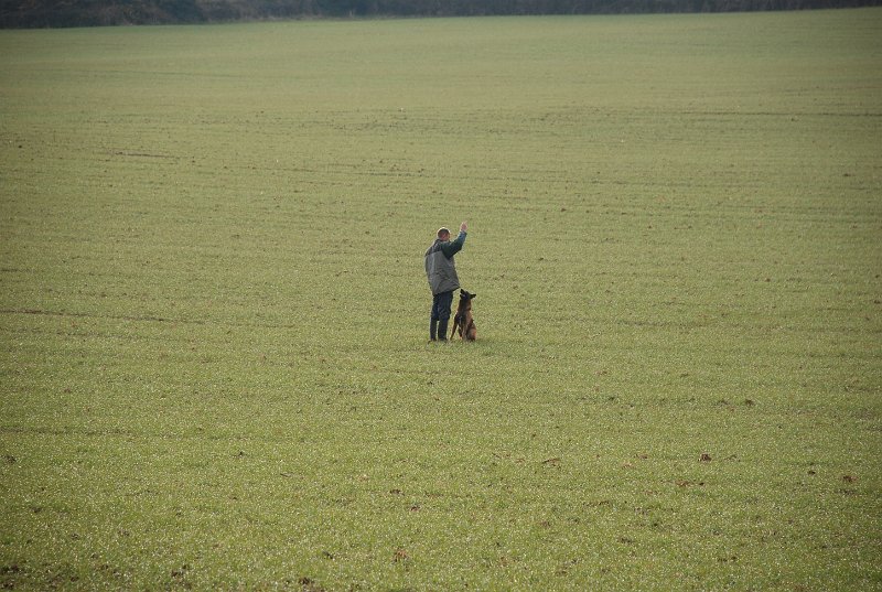 DSC_0033.JPG