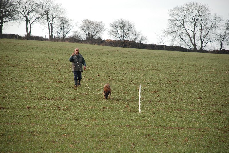 DSC_0034.JPG