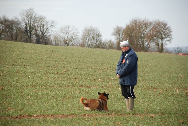 DSC_0037.JPG
