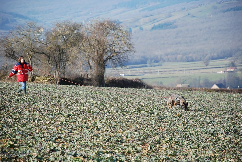DSC_0042.JPG