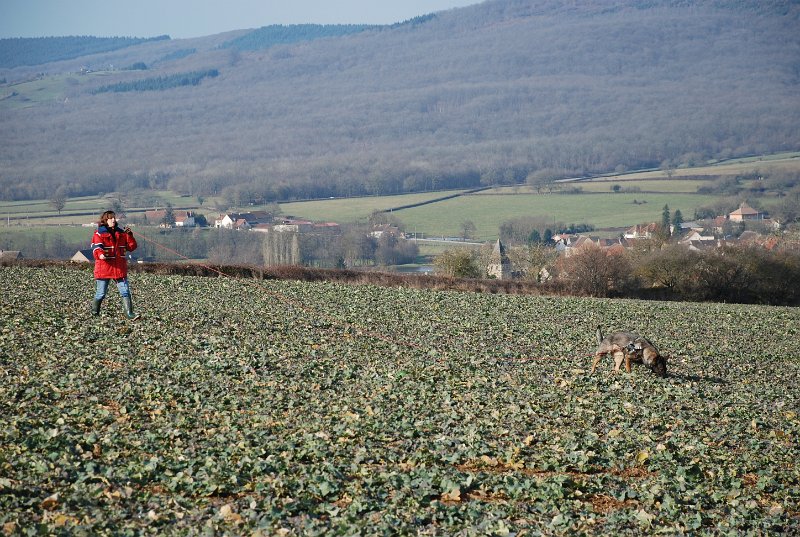 DSC_0043.JPG