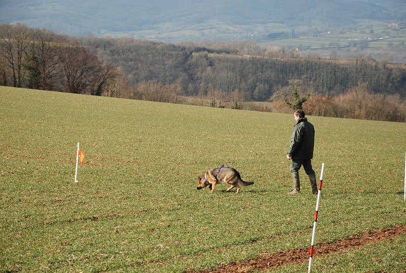 DSC_0047.JPG