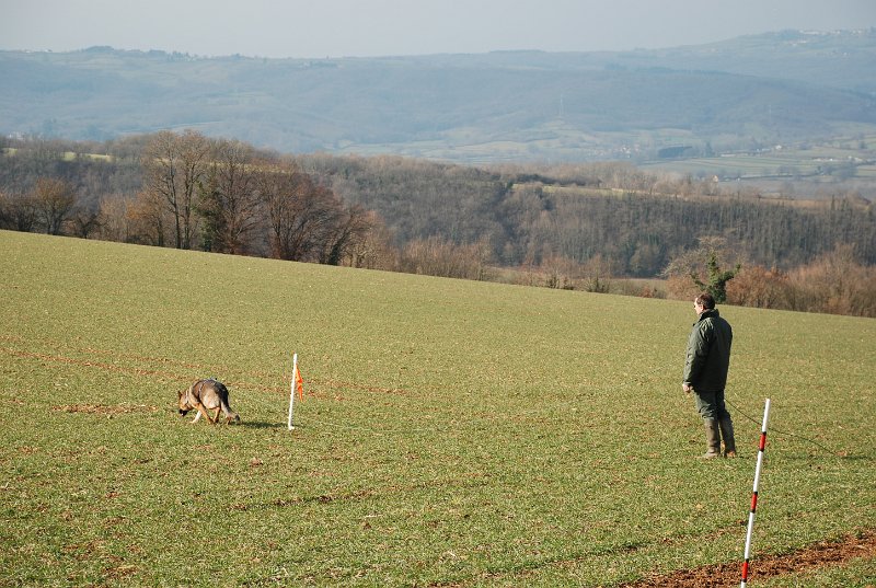 DSC_0048.JPG
