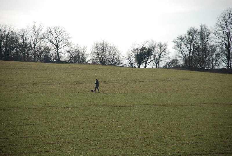 DSC_0049.JPG