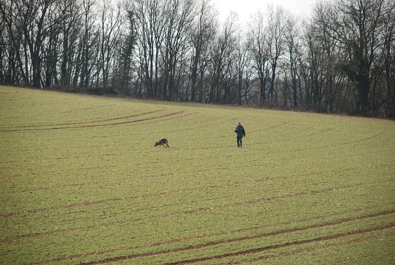 DSC_0050.JPG