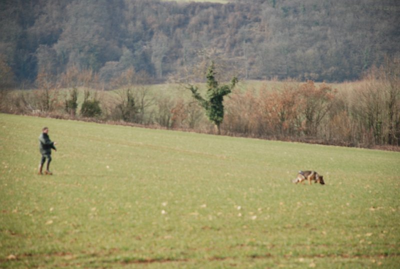 DSC_0051.JPG