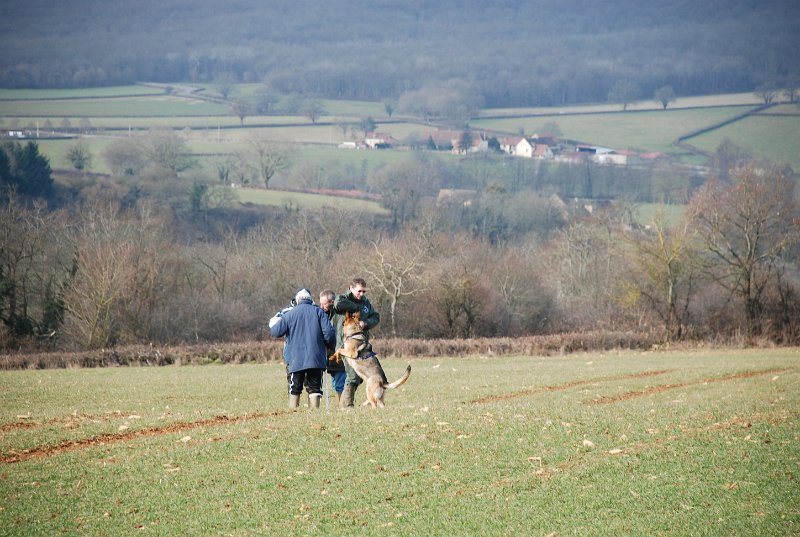 DSC_0052.JPG