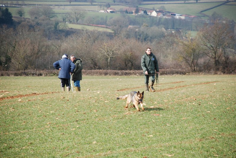 DSC_0053.JPG