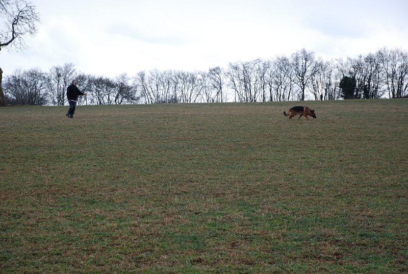 DSC_0060.JPG