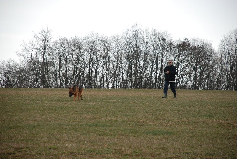 DSC_0062.JPG