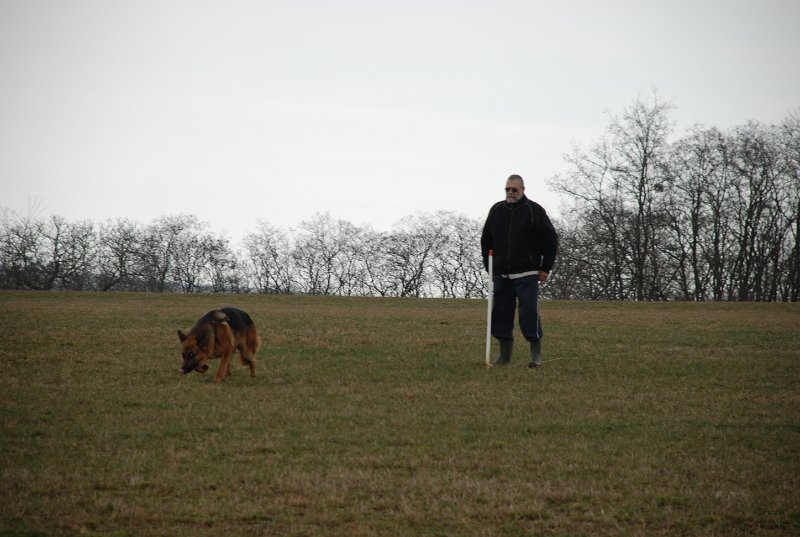 DSC_0063.JPG
