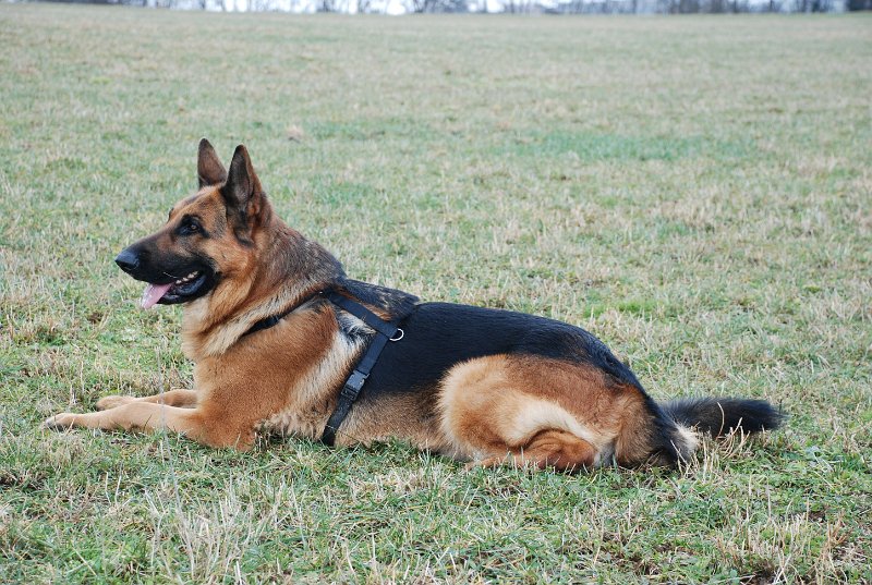 DSC_0067.JPG