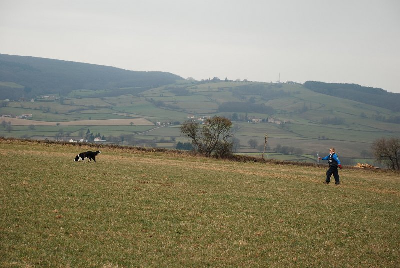 DSC_0071.JPG