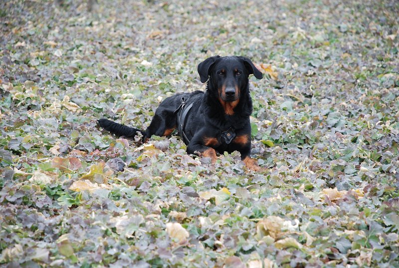 DSC_0073.JPG