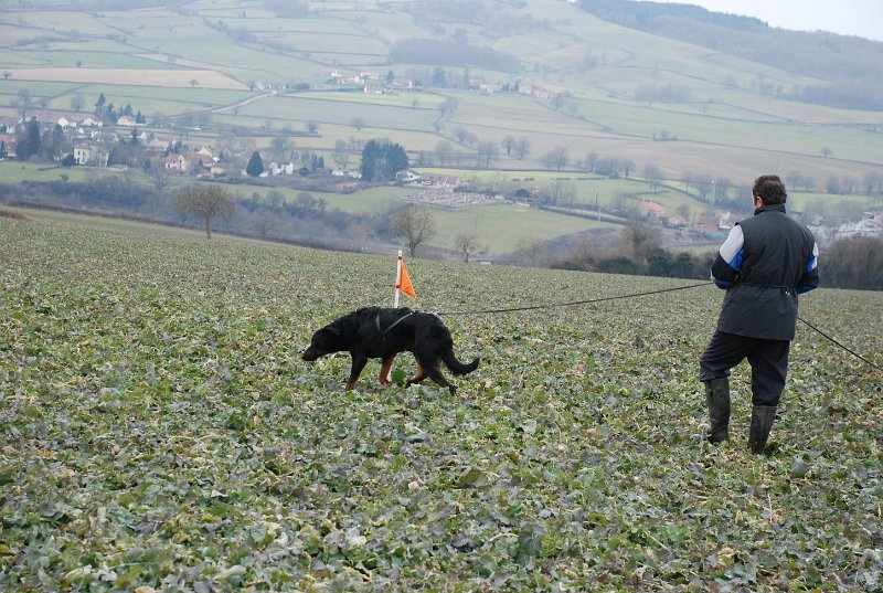 DSC_0074.JPG