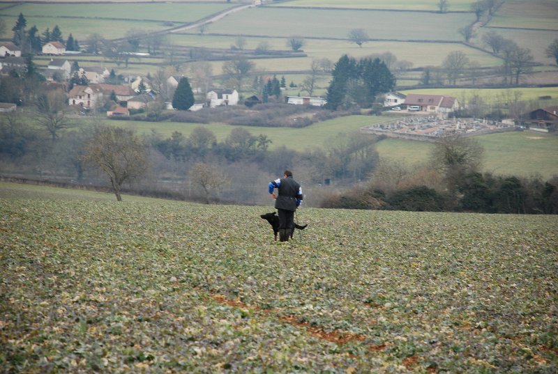 DSC_0077.JPG