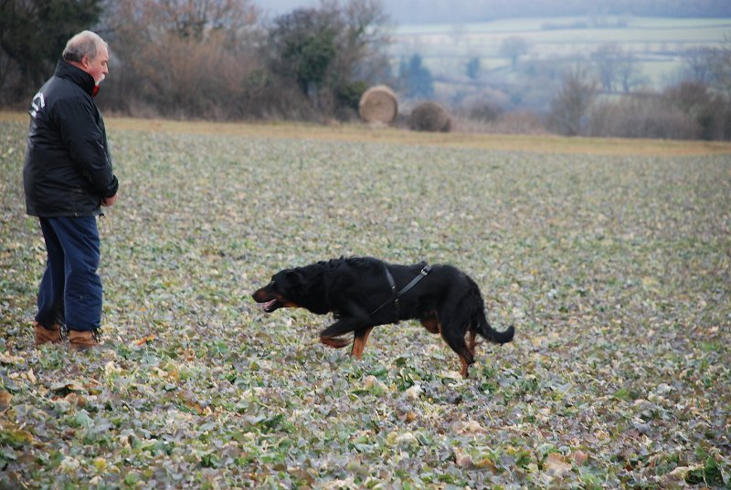 DSC_0082.JPG