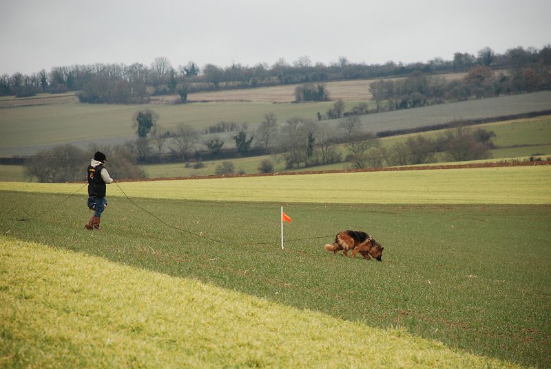 DSC_0084.JPG