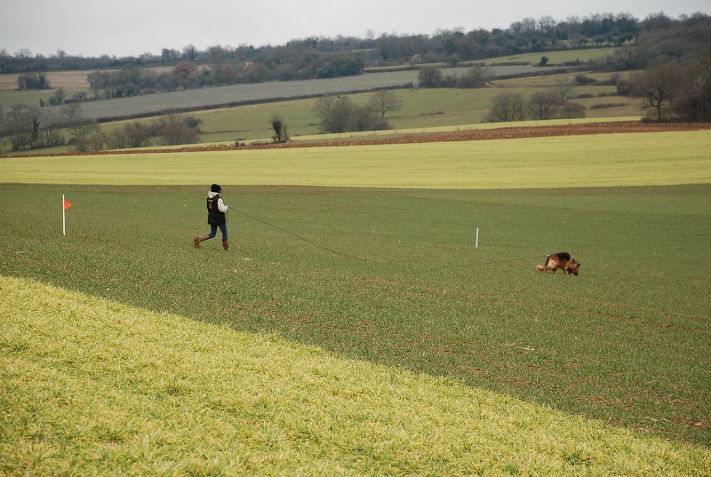 DSC_0086.JPG
