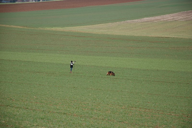 DSC_0087.JPG