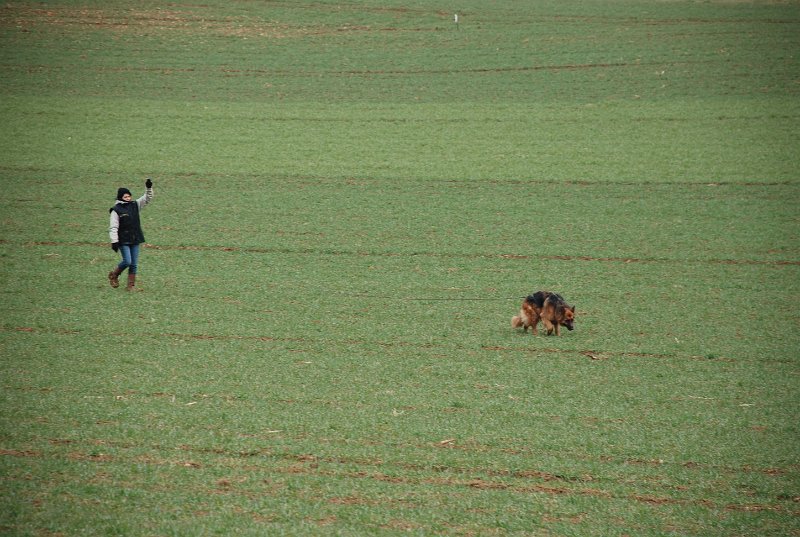 DSC_0088.JPG