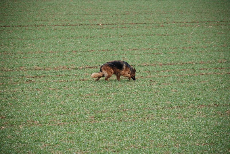 DSC_0089.JPG