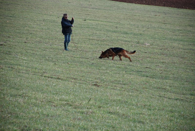 DSC_0101.JPG