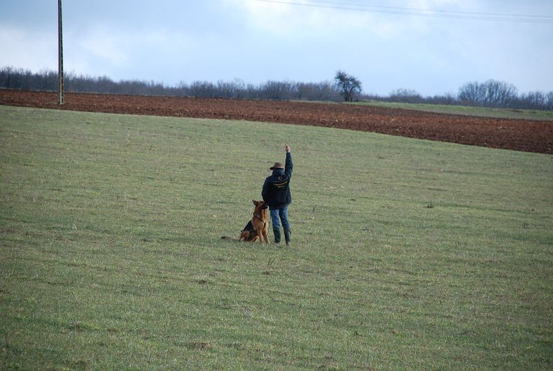 DSC_0102.JPG