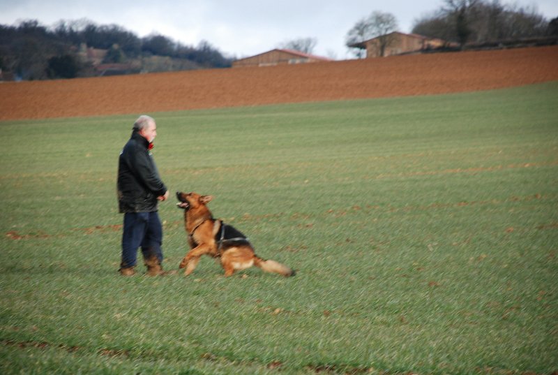 DSC_0108.JPG