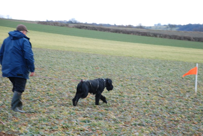 DSC_0111.JPG