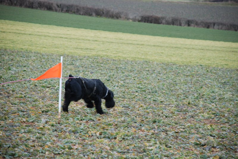 DSC_0112.JPG