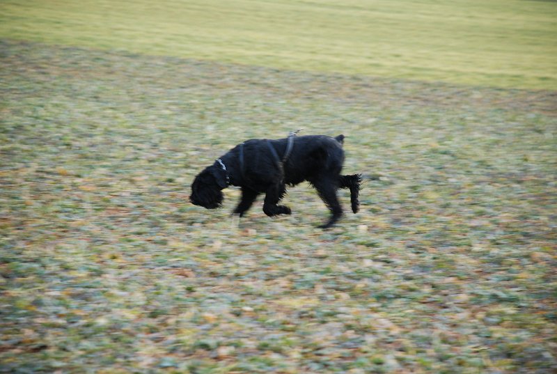 DSC_0117.JPG