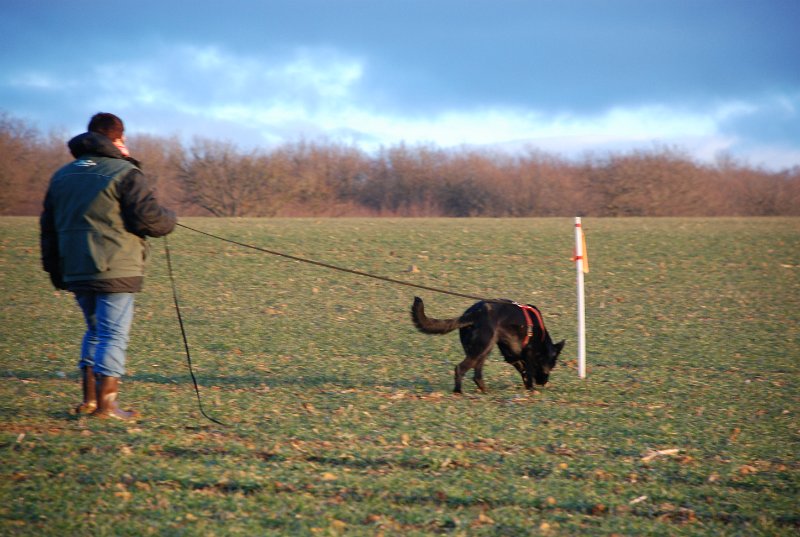 DSC_0124.JPG