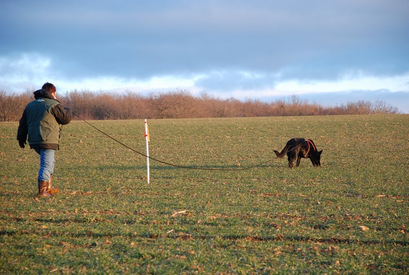 DSC_0125.JPG