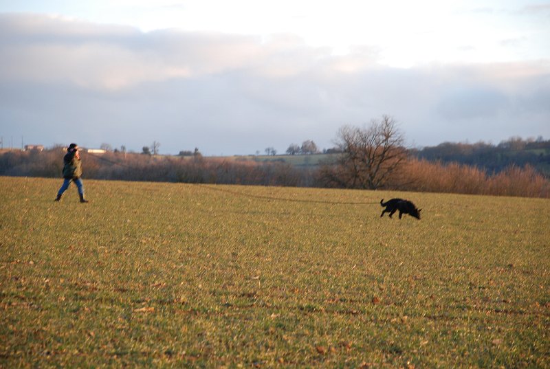 DSC_0126.JPG