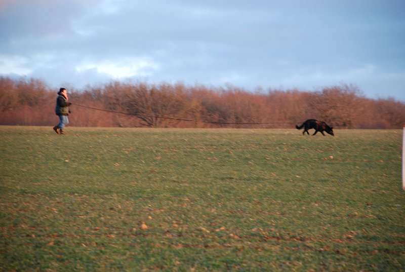 DSC_0128.JPG