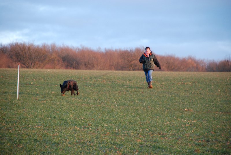 DSC_0129.JPG