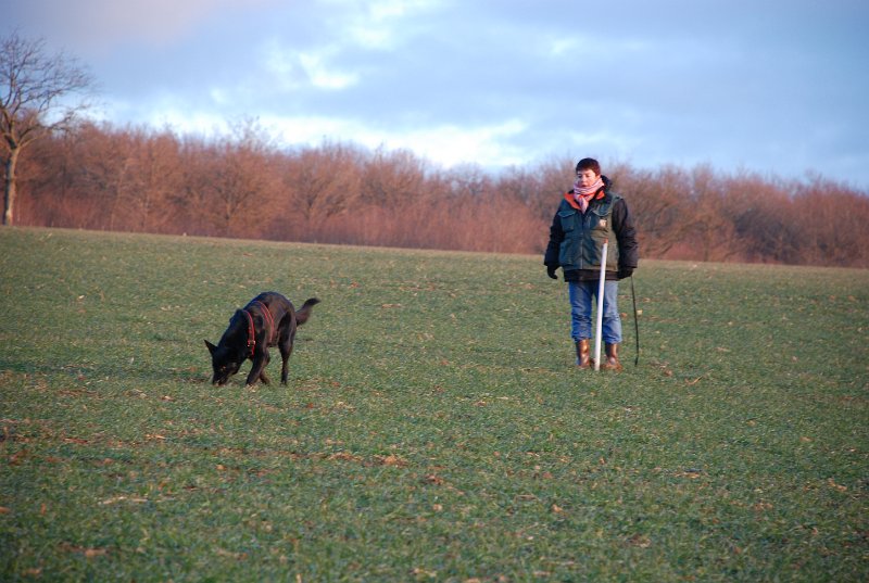 DSC_0131.JPG